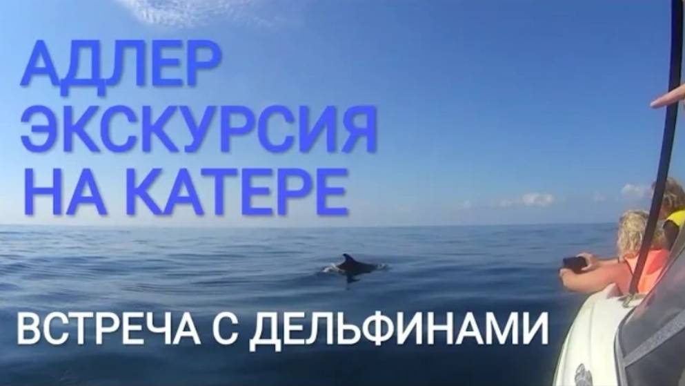 Адлер | Прогулка на катере | дельфины