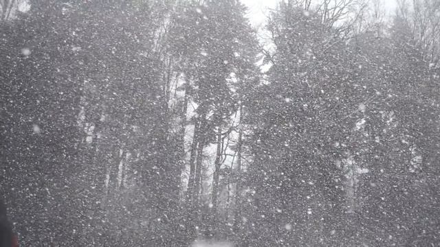 Белый снег смотреть онлайн