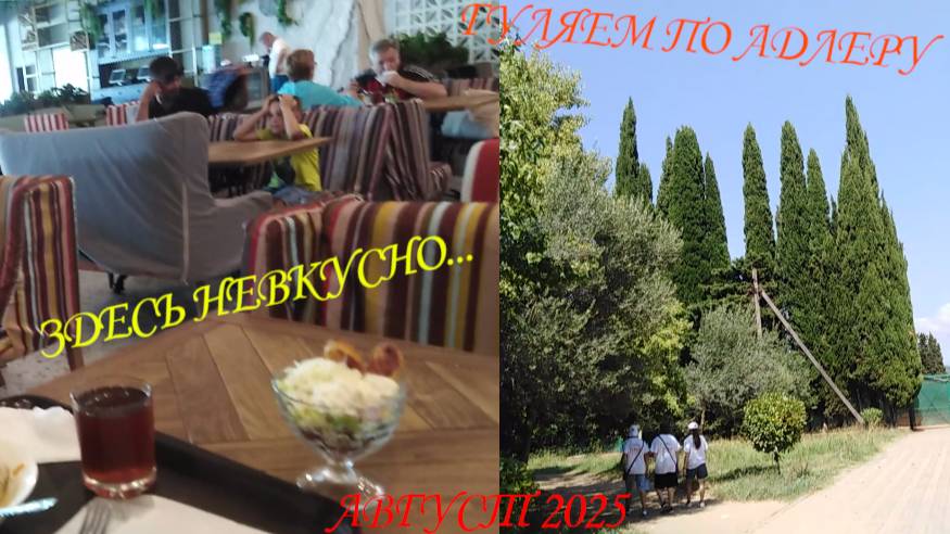 НЕВКУСНАЯ ЕДА В СТОЛОВОЙ. ПРОГУЛКА ПО АДЛЕРУ. ОТДЫХ. АВГУСТ 2025.🍜🍲🍝🍕🍟🌴🌵🌳 смотреть онлайн