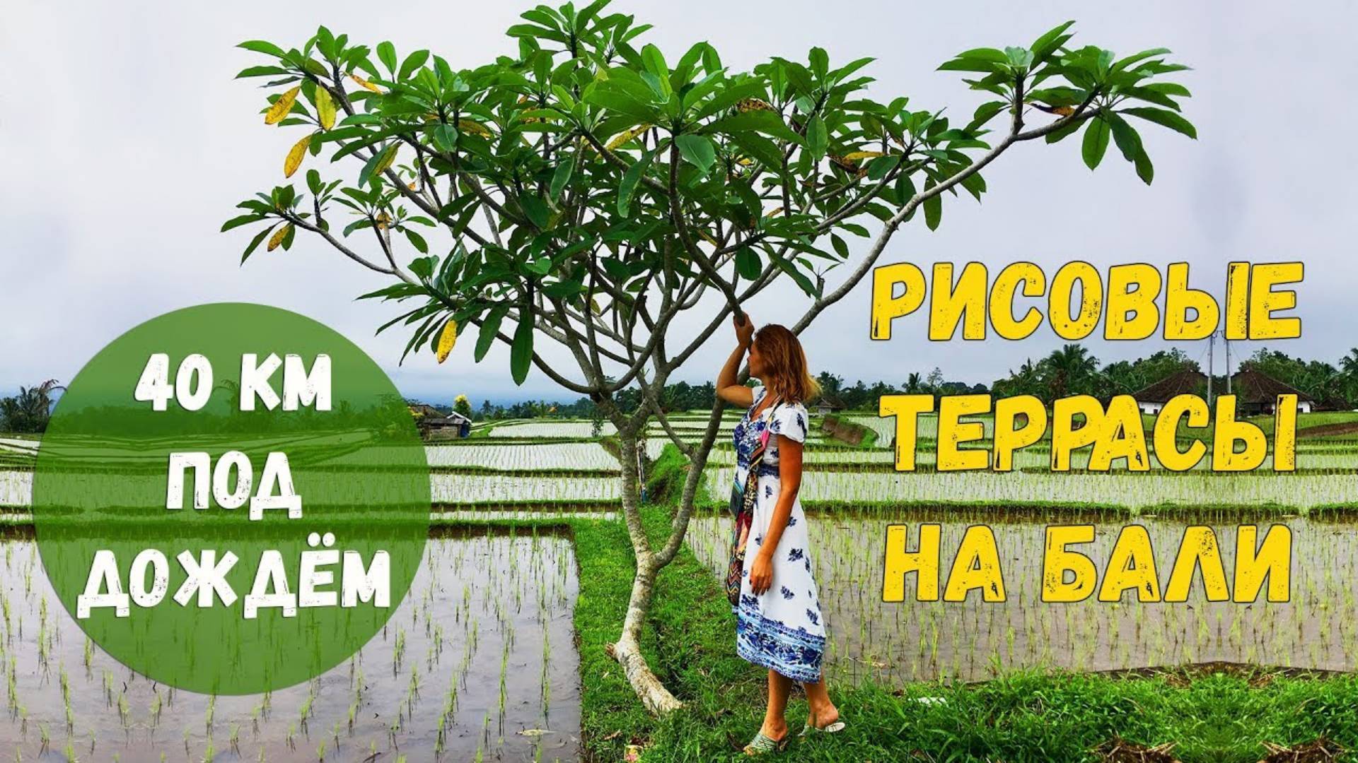 Храм Батукару. Рисовые террасы Джатилувих на Бали. Горячие источники Бали