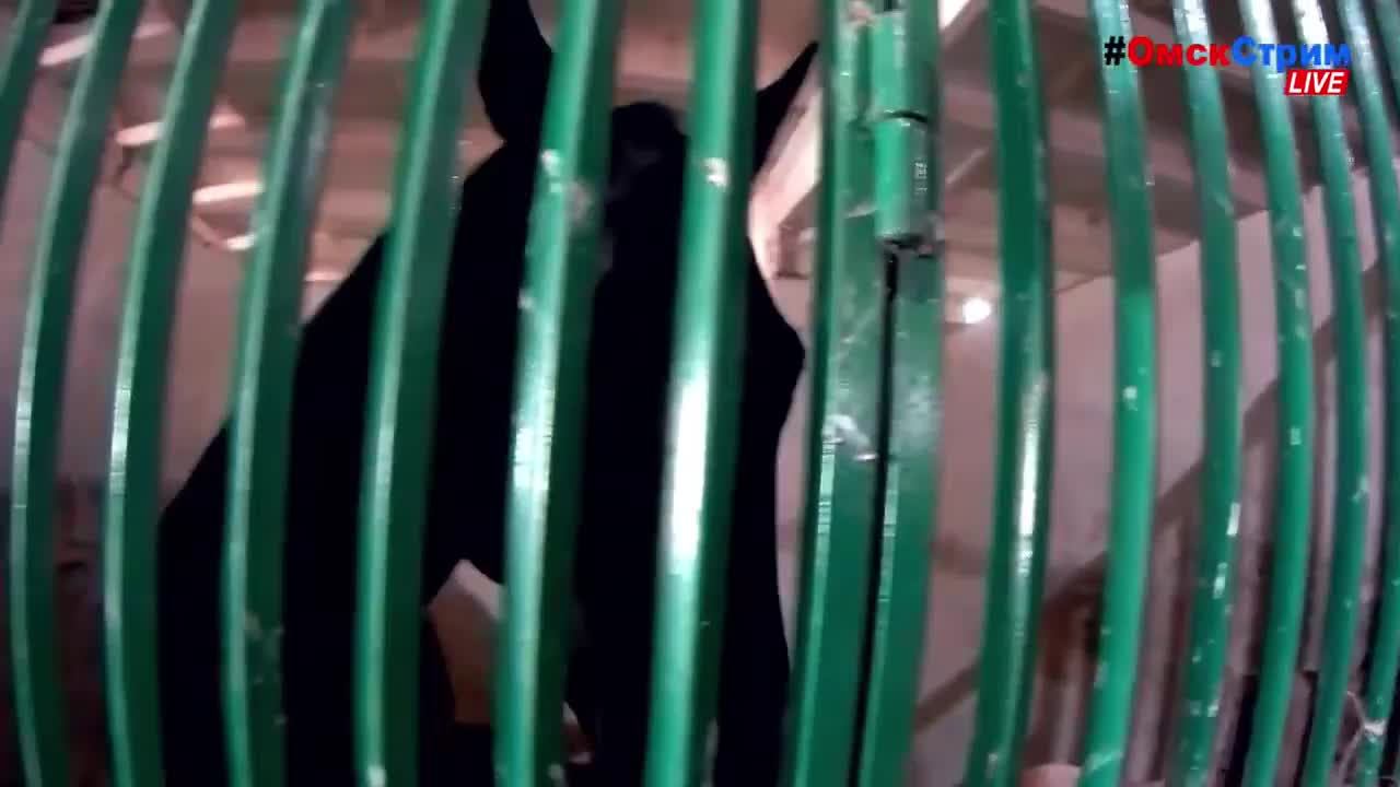 LIVE Омск - 24/7/365 #ОмскСтрим социальный онлайн-канал Омск в объективе камер! смотреть онлайн