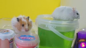 СЛАЙМ ЧЕЛЛЕНДЖ УГАДАЙ, ЧТО МЫ ДЕЛАЕМ ИЗ ЛИЗУНОВ