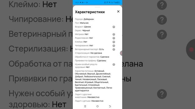1000смотрю собаку смотреть онлайн