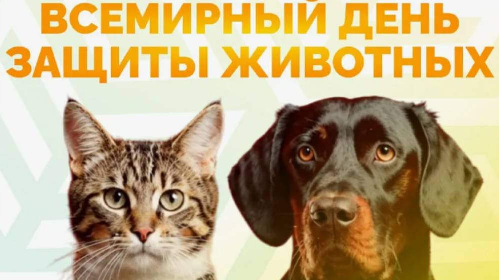 Всемирный день животных или Всемирный день защиты животных смотреть онлайн