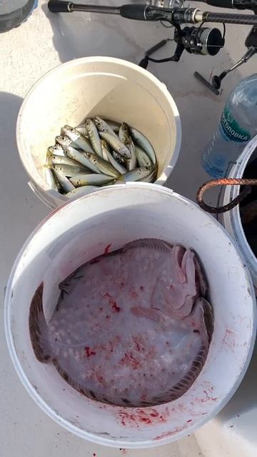 Уже два калкана. смотреть онлайн