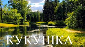 КУКУШКА!