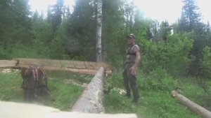 СТРОЮ ТАËЖНУЮ ИЗБУ, ПО СВОЕМУ ЗАМЫСЛУ. В ДИКОЙ ТАЙГЕ БЕЗ ЕДЫ И ВОДЫ