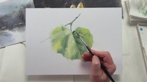 «Тестируем акварельную бумагу – целлюлоза и хлопок» Лилия Бето