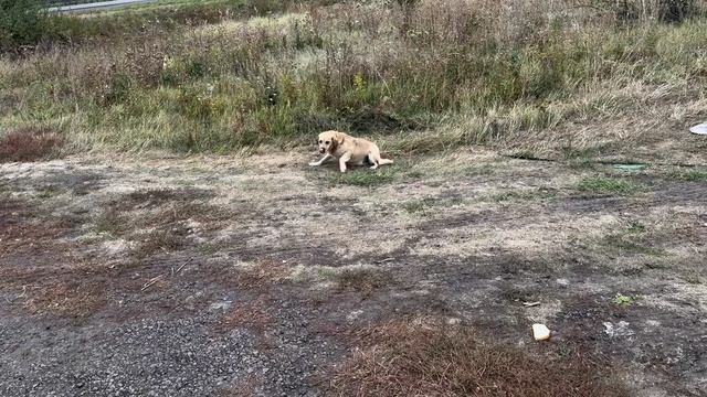 Осеннее путешествие на море на машине, едем в Кабардинку. смотреть онлайн