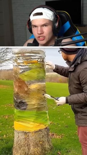 Невероятная Иллюзия с Деревом! 😮🌳 #shorts #шортс #интересно #рисунок #рисование #арт #прикол #мем