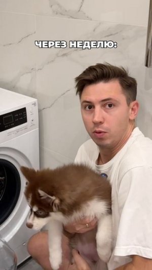 А ты за кого собаки, кошки или пиво? #морозовы #юмор #отношения