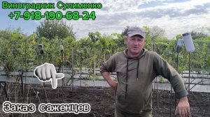 Выкопка школки! 2025