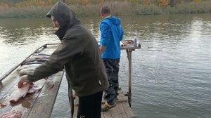 Рыбалка в Астраханской области 8 октября