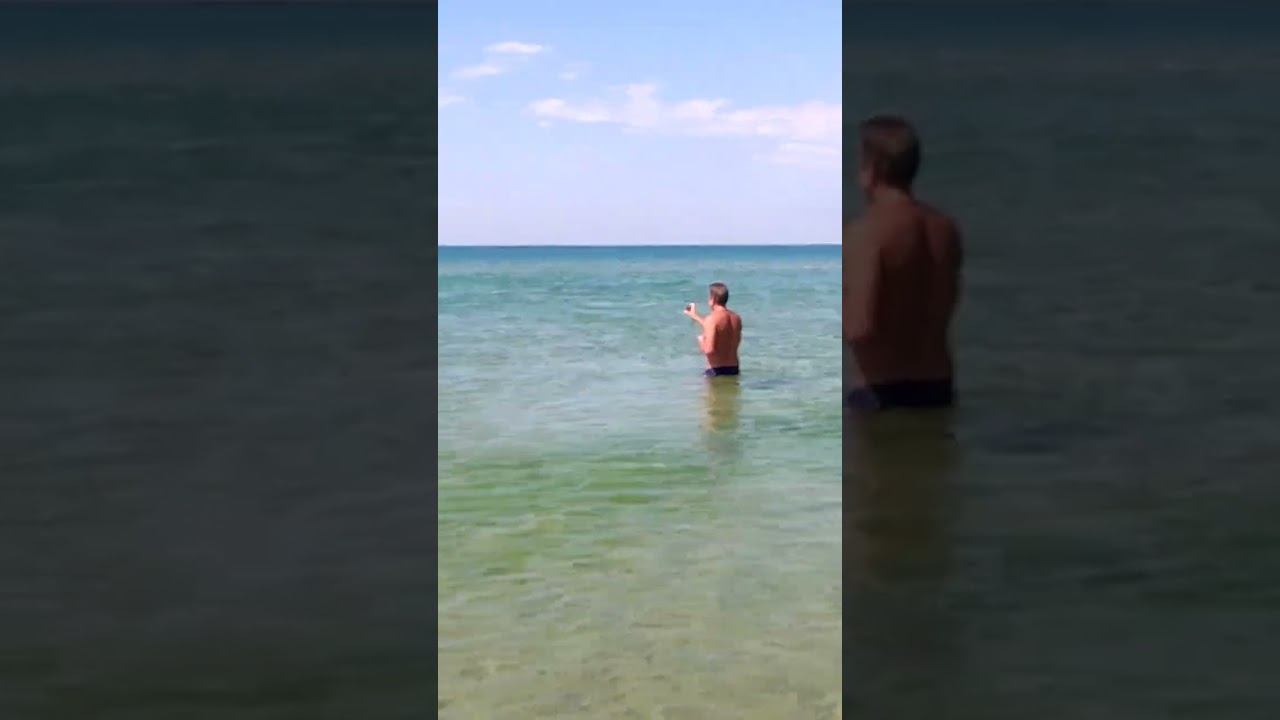 Дельфины в море #beach #travel #love смотреть онлайн