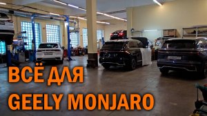 Допы для Geely Monjaro - Автотехцентр SoundSpeed