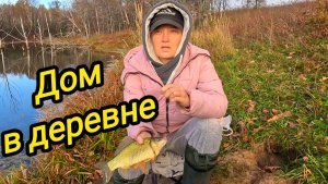 КУПИЛИ ДОМ В ДЕРЕВНЕ | ЛОВИСЬ РЫБКА | Пора сажать | Деревенские хлопоты