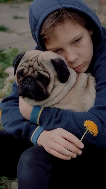 Самая СТРАШНАЯ эмоция! #эмоции #вина #чувствовины смотреть онлайн