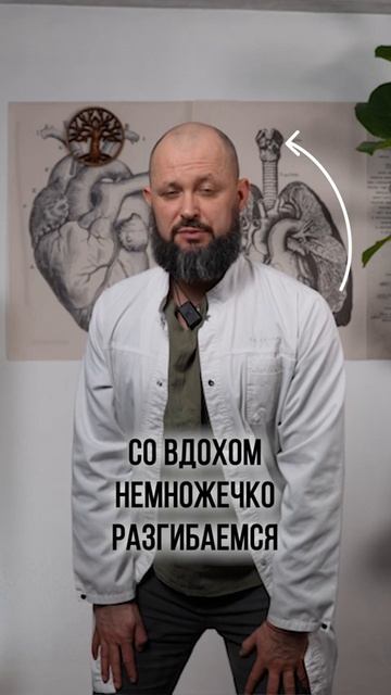 Как БЫСТРО укрепить мышцы живота #живот #пресс #мышцы #здоровье