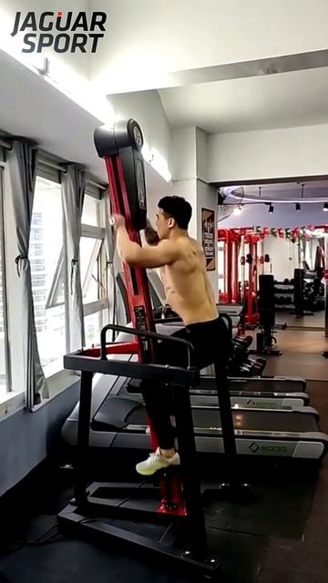 Электрический вертикальный степпер-климбер JS-W200 смотреть онлайн