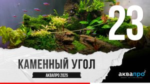 23. Каменный угол. #АкваПро