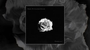 Пабло, Mr Lambo, Jamik - Провинция (Официальная премьера трека)