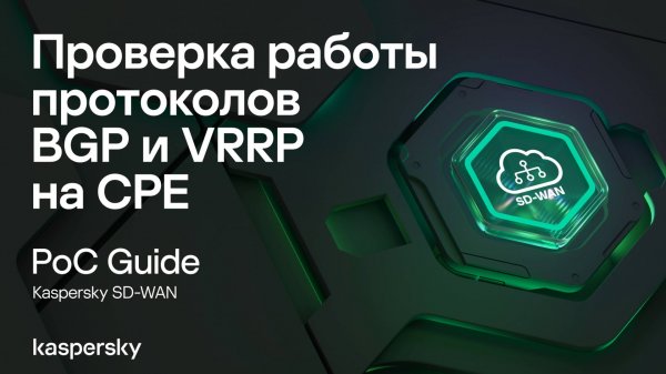 Проверка работы протоколов BGP и VRRP на CPE