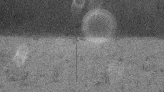 Промах, блин!  28.11.2020 г