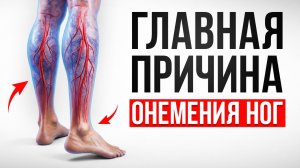 4 частых причины онемения ног и 1 решение проблемы! / Какие последствия кроются за этим симптомом?