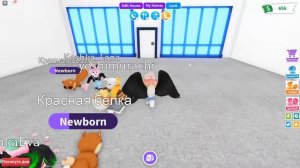 КУПИЛИ БЕЛОК - СТАЛИ БЕЛКАМИ! Roblox Adopt Me