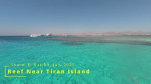 Риф острова Тиран / Tiran Island' Reef