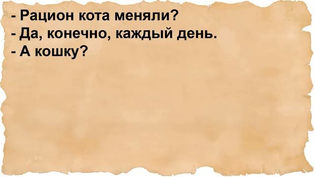 Про женщину и мужчину девственника интеллигента. Сборник анекдотов смотреть онлайн