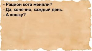 Про женщину и мужчину девственника интеллигента. Сборник анекдотов