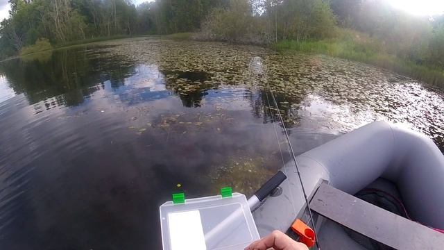 Черноспинка легендарная блесна из СССР. Ловля щуки на современные черноспинки. смотреть онлайн