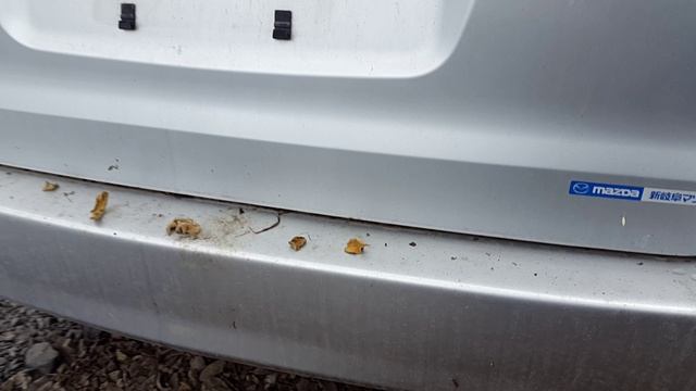 ASTRACAR №366 MPV LW3W-412591 2004 аукционы Японии авто на заказ смотреть онлайн