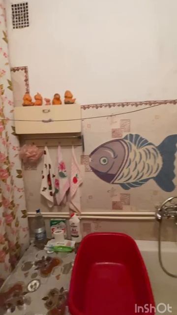 video_2025-10-09_09-30-38 смотреть онлайн