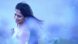 НЕ БРОДЯГИ, НЕ ПРОПОЙЦЫ