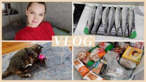 ПОДГОТОВКА К ЗИМЕ | ЗАСОЛКА РЫБЫ 🐟