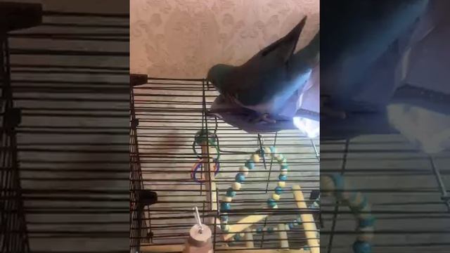 Кирюша себя сам развлекает смотреть онлайн