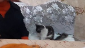 ПОДЛИВКА ИЗ ПЕЧЕНИ! ОТ БАБУШКИ НАСТИ!!!