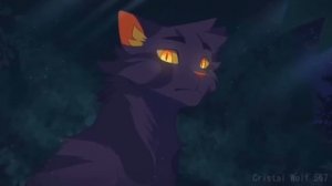 коты воители
частокол и звездоцап