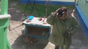 09.10.2025. Жизнь в деревне: Готовлю вкусно и просто. Дела житейские. Family Vlogs