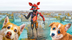 МАГИЯ МЕЛКОГО КОРГИ КОРЖИКА!! Хаски Бубулик Говорящая собака