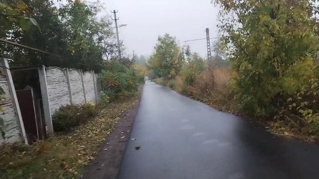 НАЧИНАЮ 2 НОВЫХ СТАРТА🔥 КРАСКИ ОСЕНИ🍁 ДОЖДЛИВАЯ ПОГОДА🍀 смотреть онлайн