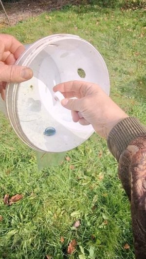 Самоделка приспособление ветряк своими руками #diy #полезныесоветы #хитрости #shorts