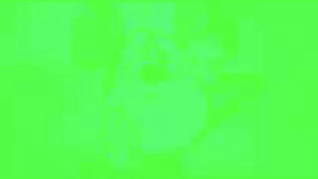 Preview 2 mickey mouse effects il vocedex смотреть онлайн