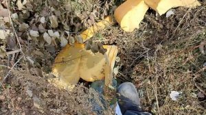 Сколько Цветного и Чёрного металла, я нашёл на Свалке .