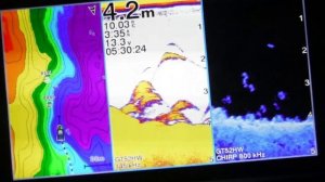 Garmin Striker Plus 9sv Vivid 9 реальная работа