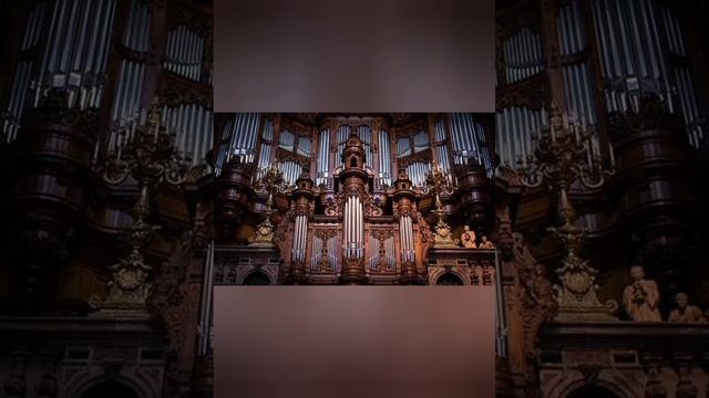 Московский международный фестиваль имени Гнесиных .А.Фисейский . Прелюдии. Бах. смотреть онлайн