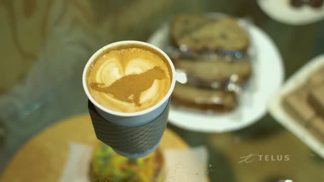 Vancouver Cat Cafe (Catfe) - The Purrfect Cafe смотреть онлайн