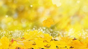 Шёпот в осенней тишине